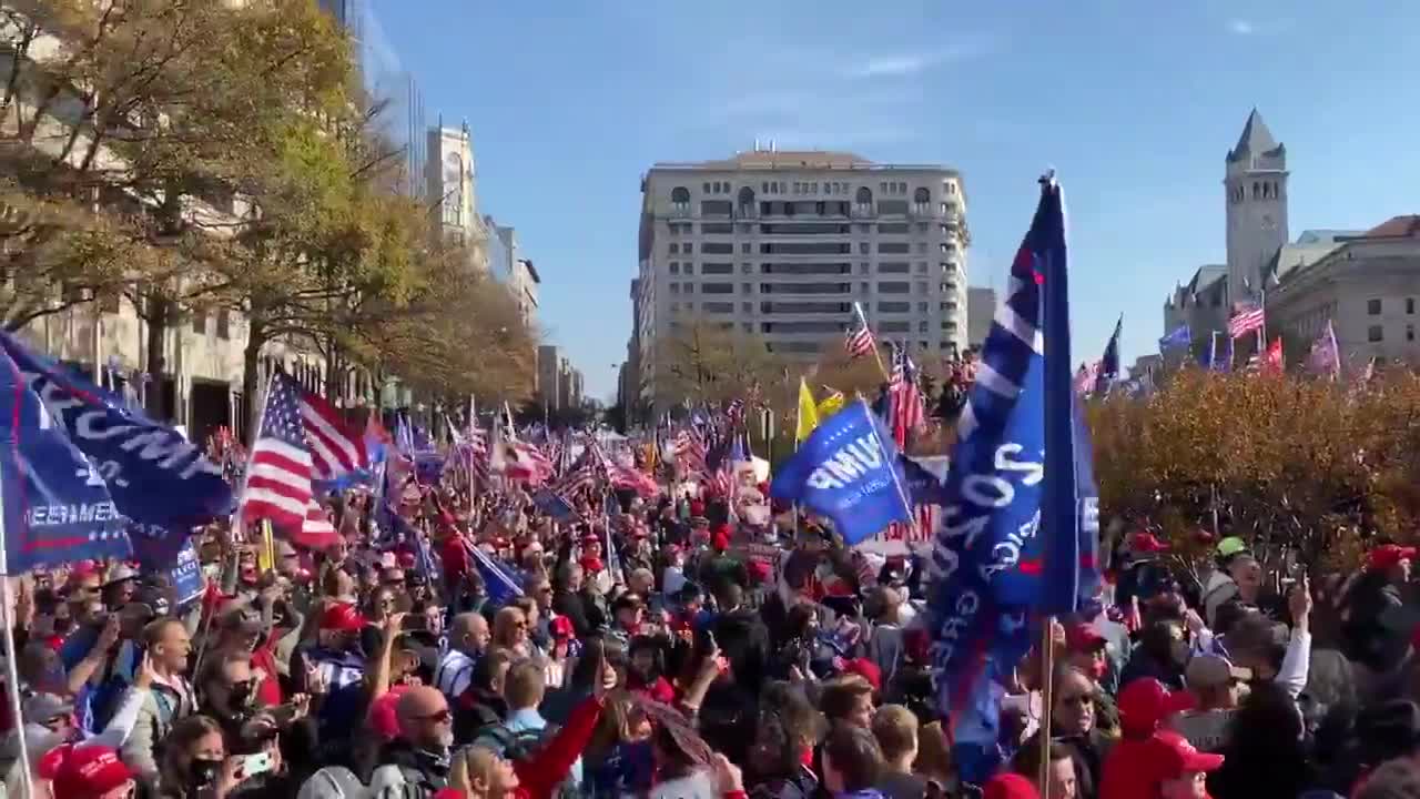 MAGA MARCH - STOP THE STEAL