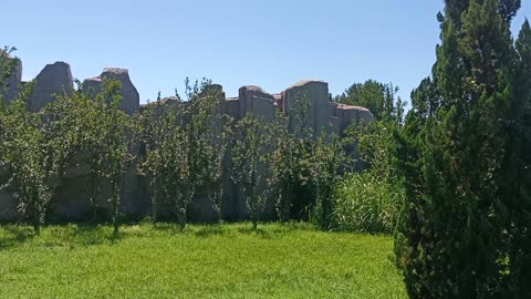 A row of trees in front of the rockery