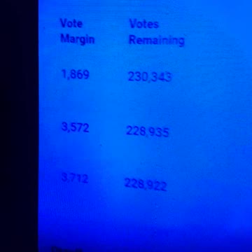 INTERNATIONAL WIDE ELECTION FRAUD VOTING MACHINE CRIME, GEORGIA RUNOFF SHAM ELECTION CRIME 163