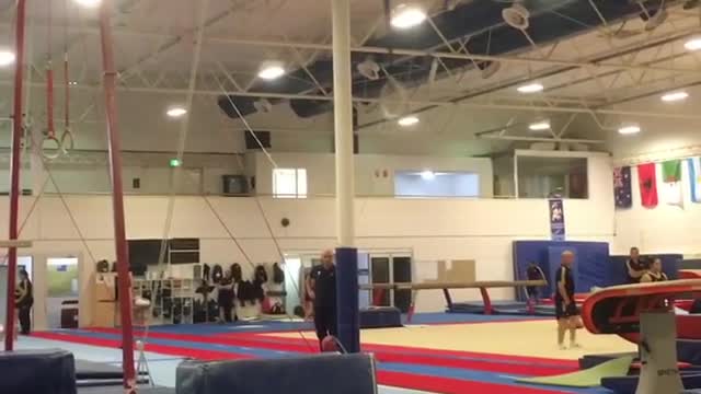 Ring gymnast falls on face