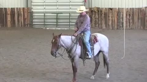 Teach Your Horse To Back Up, Both On the Ground AND In the Saddle Bryan Neubert ~Art Of The Horseman