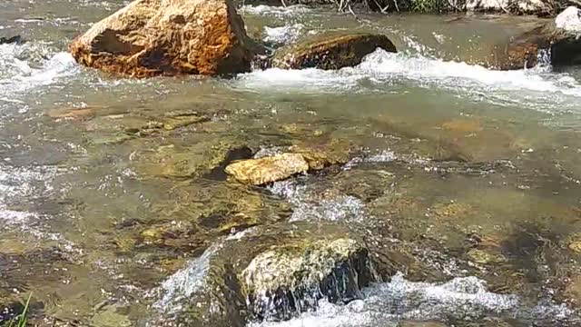 Sitting by the creek in North Carolina