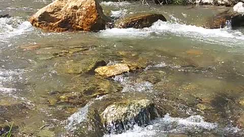 Sitting by the creek in North Carolina