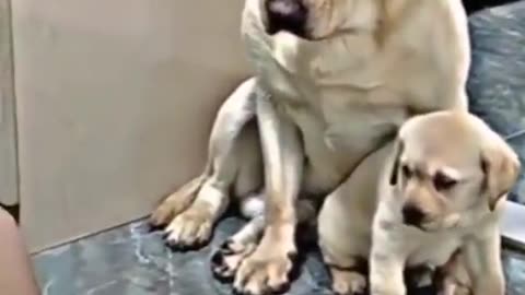 This guy anger acting