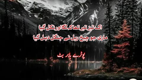 Ak taze teer tha .... Urdu shayari poetry statsus