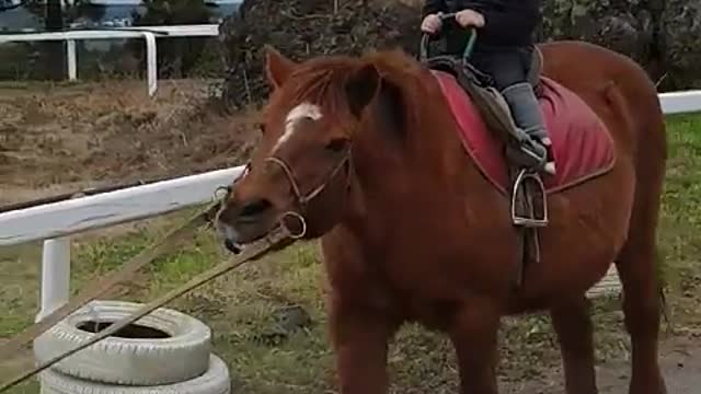 This is a video of a baby riding a horse nicely.