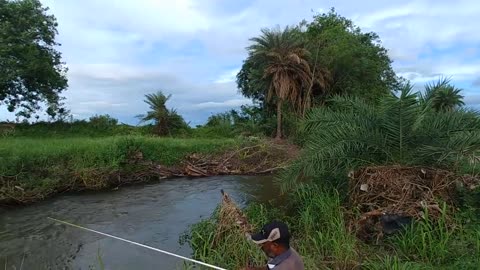 Fishing|Best fishing technique video|Fisherman catches Eels & Big cat|With(small)hook & Live bait