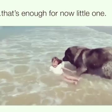 C’mon. Let’s go.