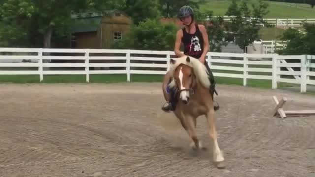 most_beautiful_horse_riding_#Status_#Latest_Nature_Video_Full_HD(1080p)