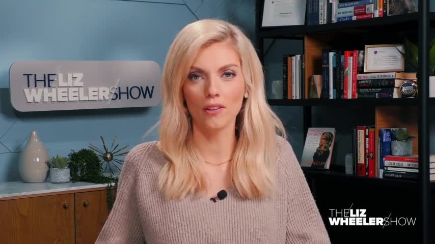 Liz Wheeler: Explaining the Origin of the Great Reset