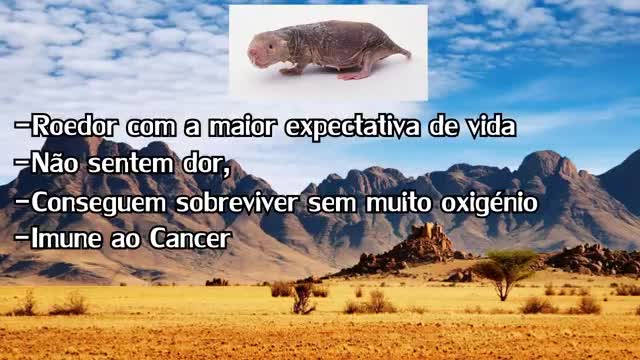 the strangest in the world