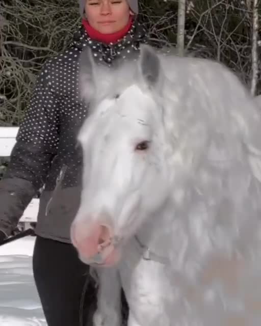 Amazing and beautiful!