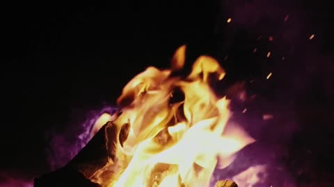 Close Up Shot of a Bonfire in the Snow