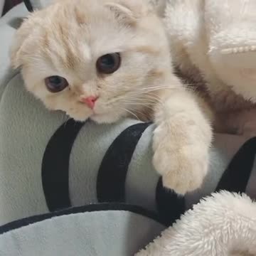 Watch my videos 🥺 #shorts