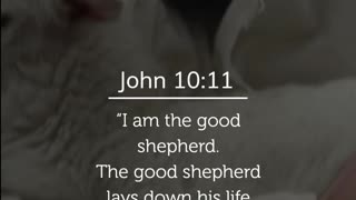 John 10:11