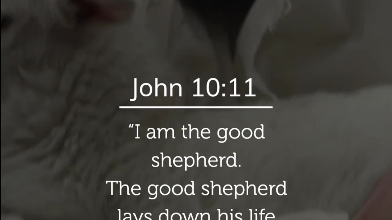 John 10:11