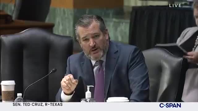 Ted Cruz SLAMS Blinken And Biden Admin For Horrendous Afghanistan Crisis: "You Own This"