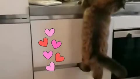 قبله من فضلك