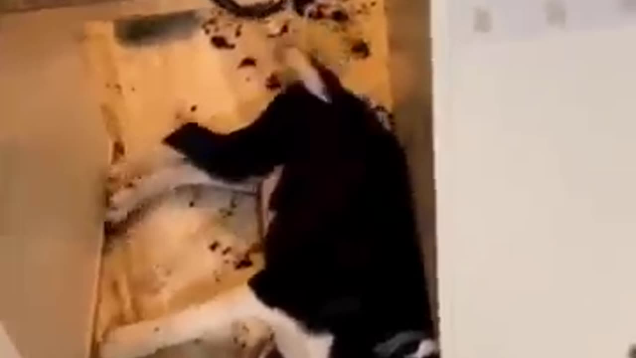 😂😂😂😂