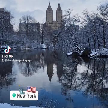 New York City Manhattan America USA Central Park 5th Avenue Street