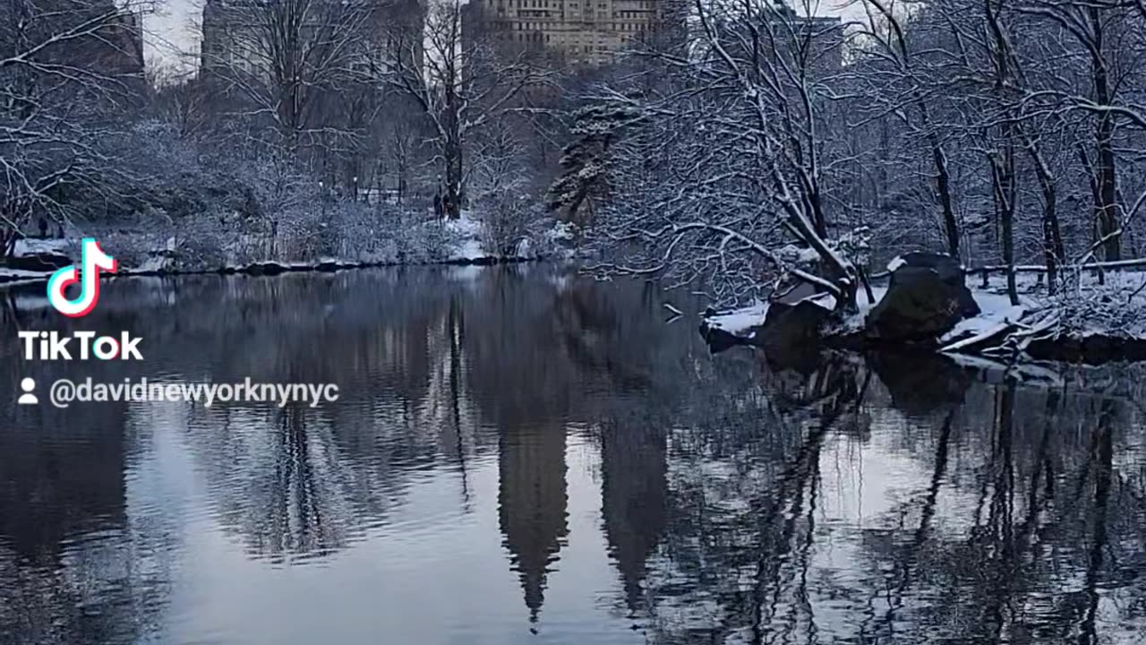 New York City Manhattan America USA Central Park 5th Avenue Street