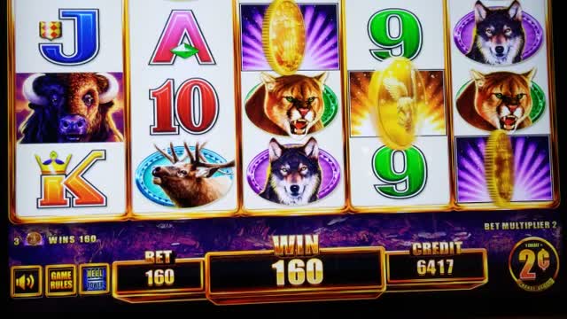 Buffalo slot play Grand Falls