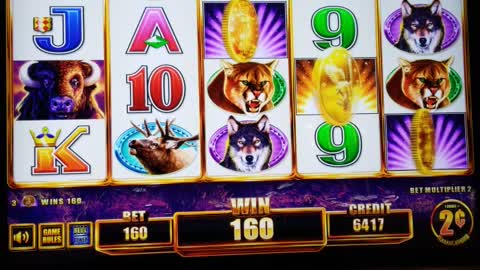 Buffalo slot play Grand Falls