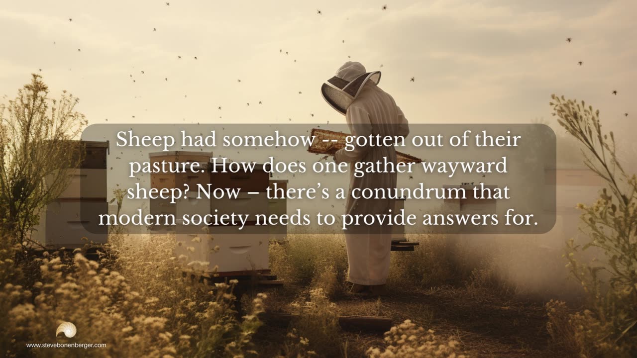 Beekeepers and Wandering Sheep | Moments With Dr. Steve