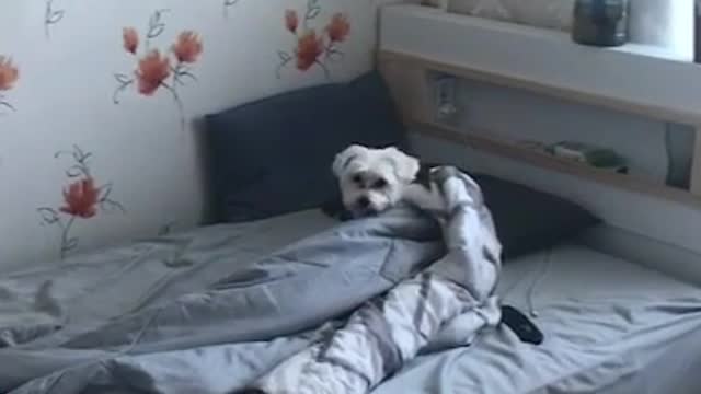 Please pay attention to the futon
