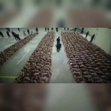 MS13 GANG - ARRESTED. One after the other