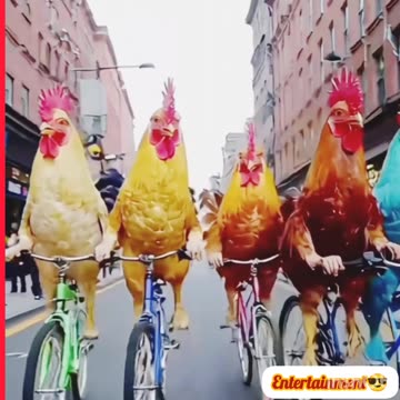 Viral funny🤣🤣 video