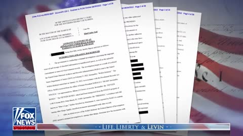 Levin: This was over documents, seriously?