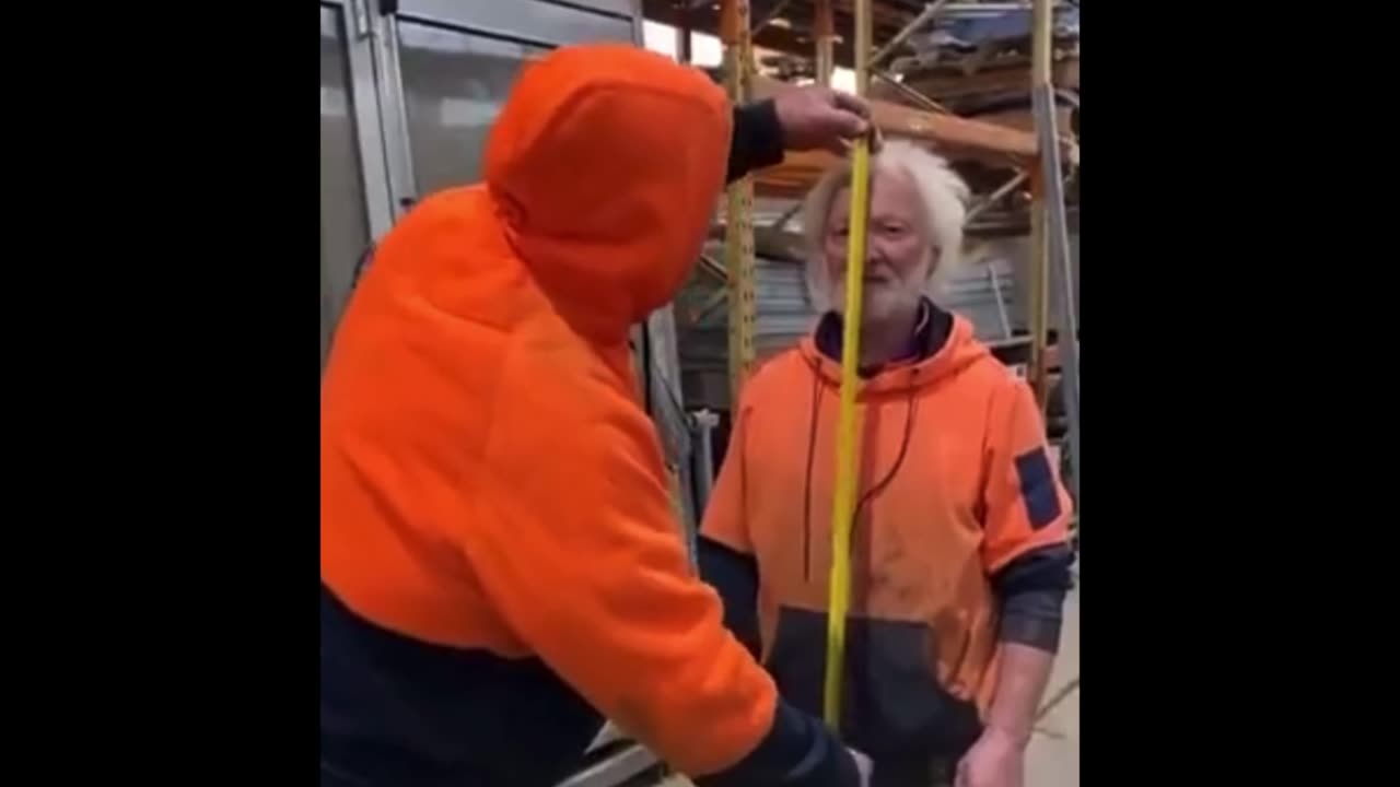 Random Memes