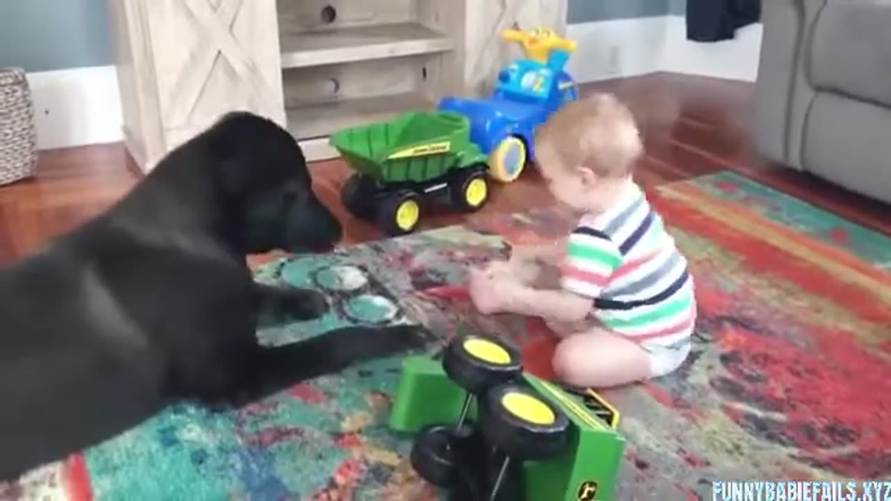 Funny Babies Dogs Fails 3