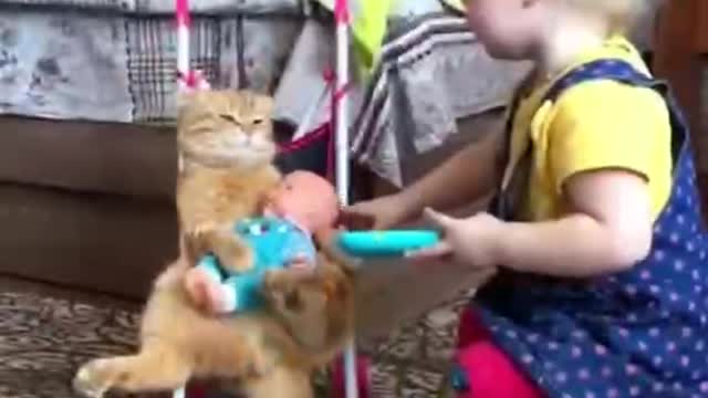 What a cute baby, pushing a cute cat, and they have a great bond. To play together