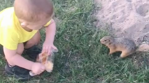 baby feeds squirrel with pizza