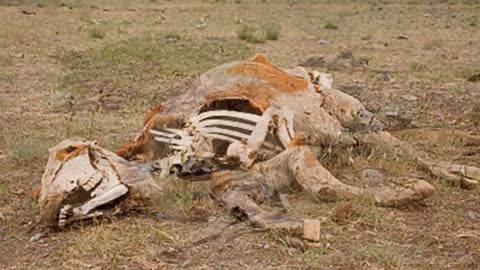 Zona (o Sierra) del Silenzio ● Il deserto più misterioso della terra