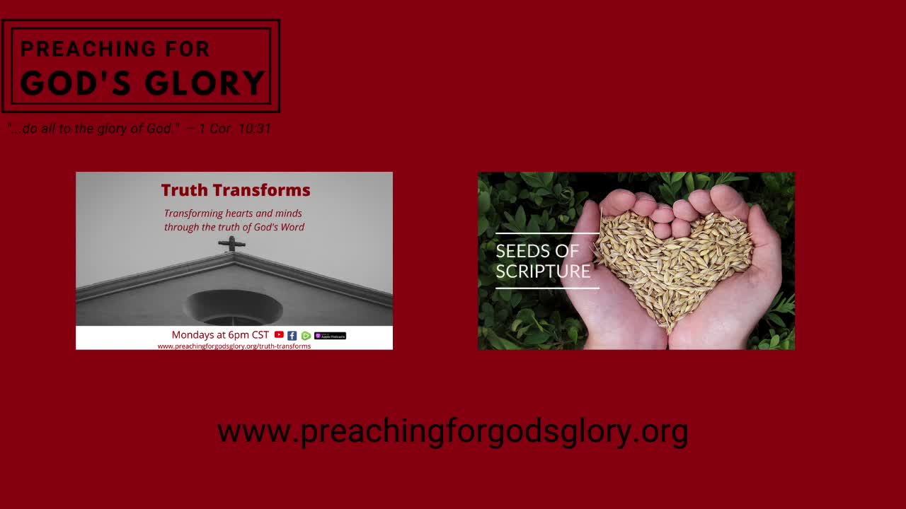 Proverbs 24 - Seeds of Scripture (Daily Bible Reading)