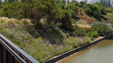 A Tour of Parque de la Familia in Santiago, Chile 🌳🇨🇱