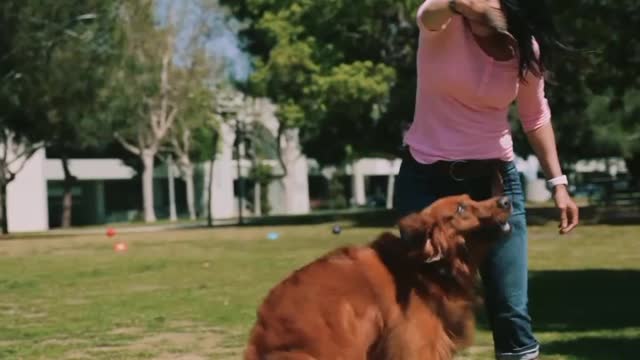 Women Playing With Dog - The Best Way To Get Your Puppy's Attention