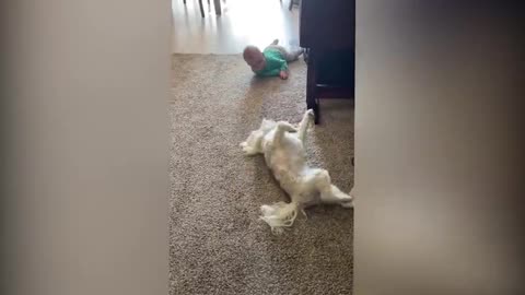 Cutest Babies Play With Dogs And Cats