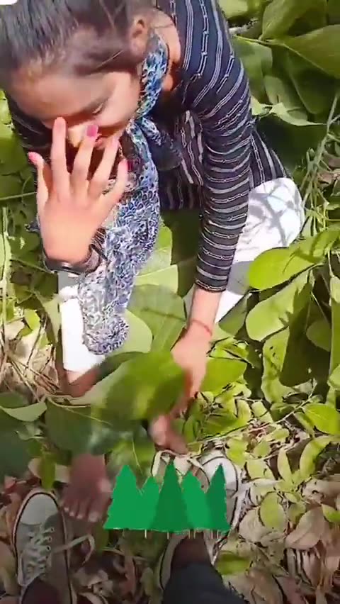 Trending Now #USA #Canada #viral #trendingnow #ViralClip #Like #Share