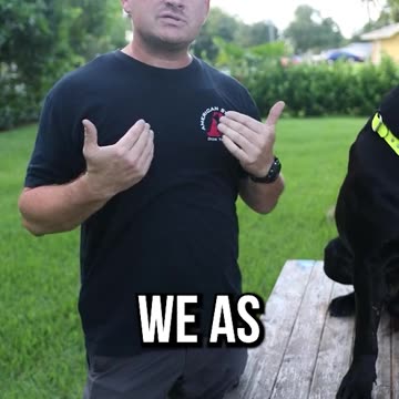 A Dog’s Most Important Sense