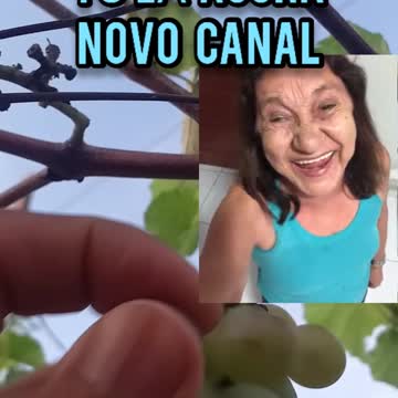 Do you want to eat grape? I don't Irene! Hahaha