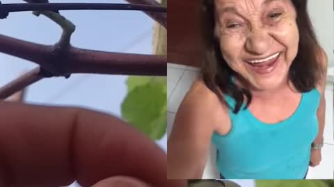 Do you want to eat grape? I don't Irene! Hahaha