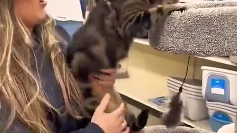 HE_ALWAYS_GETS_WHAT_HE_WANTS!_😅_#viral(480p