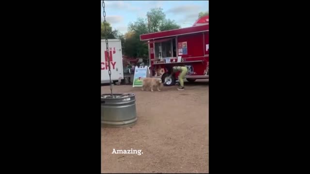 Dog Brings Out An Order To A Customer At A Food Truck