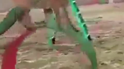 Dog With Human Habits #shorts #viral #shortsvideo #video