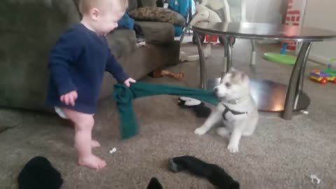 Babies & Dogs Cute Moments!