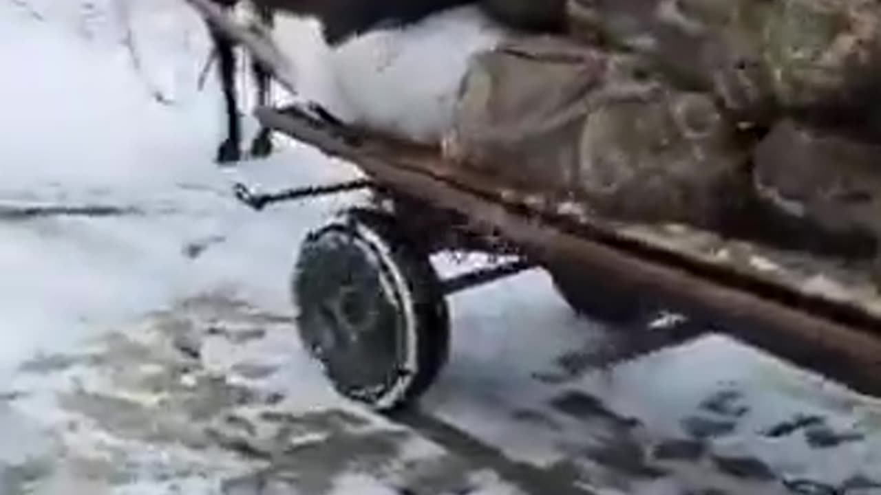 Disillusioned Ukrainian soldiers are leaving the front.